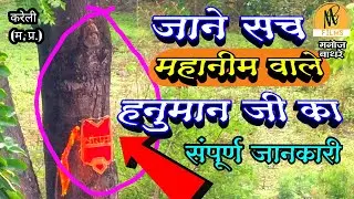 महानीम वाले हनुमान जी नीम के पेड़ में उकरी हनुमान जी की आकृति लोगो की लगी भीड़ प्रशासन सजग लगा जाम