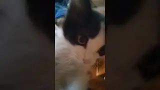 #рекомендации #втоп