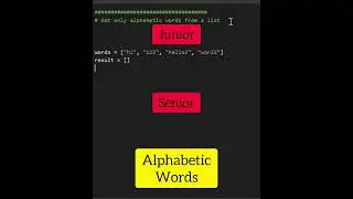 Junior Vs. Senior Python Developer 