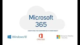 Manage Microsoft 365 user accounts, groups, and license