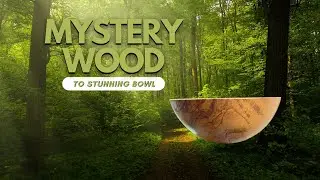 Beautiful Bowl From Mystery Wood - Do you know what It Is
