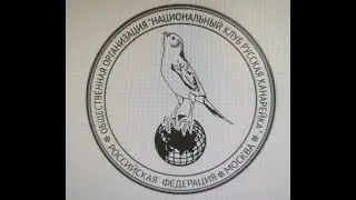 2024 10 25   Монолог о Русской канарейке.