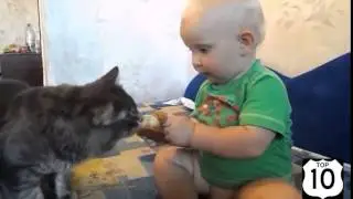 ДЕТИ и КОТЫ    МЛАДЕНЦЫ и КОШКИ    НЕРЕАЛЬНО СМЕШНО