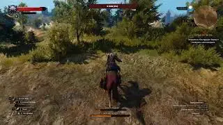 Сидим дома за остановку вируса! Ведьмак 3 (The witcher 3)