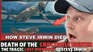 STEVE IRWIN'S Last Moments Were HEARTBREAKING [ Reaction ]