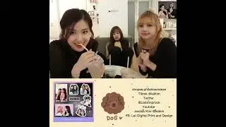 JenLiChaeng at Dog Cafe