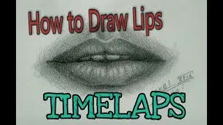 How to Draw Realistic Lips Beginners / Drawing Tutorial / Timelaps / የኢትዮጵያ ስነ-ጥበብ