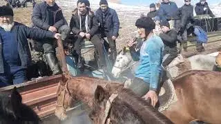 Садык балбан бир эчкиге таштады