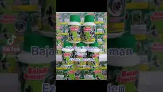 Rezeki Jualan Baja 2021#Perjalananjualanbaja2021#rezekisepertiairmengalir aamin