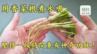 用香菜根煮水喝，堅持喝5天！竟有神奇功效，全家都看傻眼了！醫生都說非常有效！