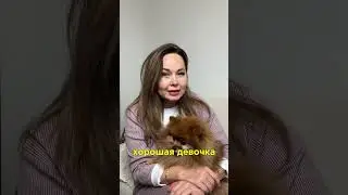 НЕ МОГУ ОТКАЗАТЬ МУЖУ И СВЕКРОВИ