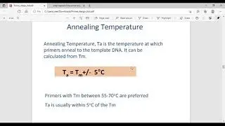 PCR Primer Designing