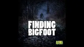 The Bigfeet Files - The Three Hunters Twin Brothers