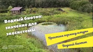 Водный биотоп как элемент пермакультурного дизайна  Значение для экосистемы