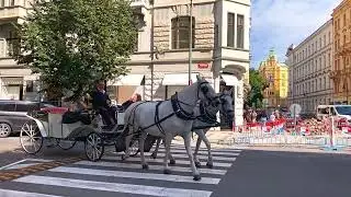 ПРАГА 2024