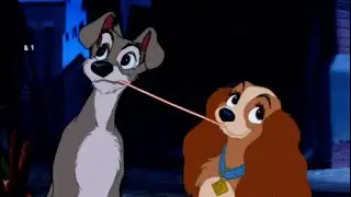 Aventura - Obsesión (slowed + reverb)