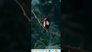 Find Your Lost ZIP Password in Just 2 Min  #Shorts #Tranding