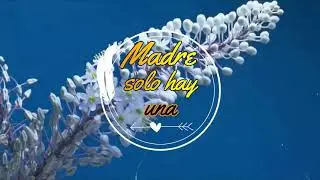 Madre solo hay una // Video Lylics /Gary Sandoval - Matthew Sandoval - Dariana O
