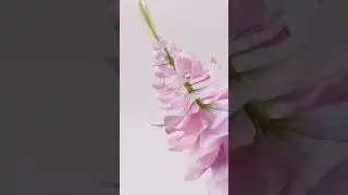 Tarjeta Digital Día de la Madre | Video Mensaje Día de la Madre con Foto
