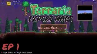 First Day Trauma | Terraria Expert Mode | EP 1