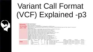 Understanding VCF file | Variant Call Format Part 3/3