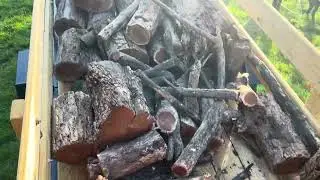 Thoughts- small pieces of wood