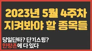 2023년 5월 4주차 한량존 관심종목