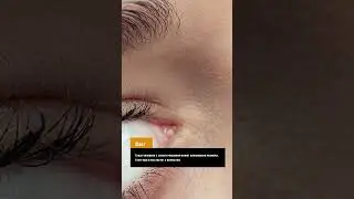 А знали ли вы, что глаза, уши и нос… #shorts