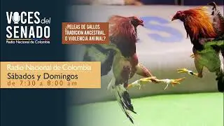#VocesDelSenado, emisión 16 de octubre