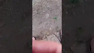 Рецепт для избавления от сорняков.