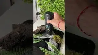 Foto de producto en casa 📸 