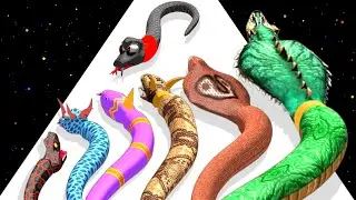 Snake Evolution Run 3D - Level Up Satisfying ASMR Gameplay (INSECT EVOLUTION RUN) Part 2