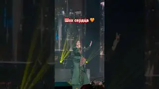 Шах сердца моего