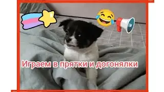 САМЫЙ лучший АНТИДЕПРЕССАНТ 😍😍😍 Маленькая торпеда😂 Звук погромче ✅