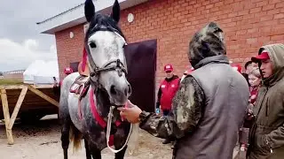 Көчмөндөр оюндары. Аттар менен оюнчулар Ипадромдун жанына көчүп келишти.