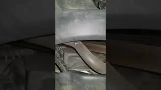2005 Acura RL Rattling Noise (Radiator Fan)