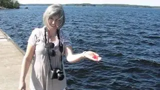 Лето на Сайме