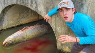 Aku Selamatkan Ikan dari Terowongan Mematikan yang Tersembunyi!