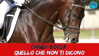 Chiudibocca - quello che non ti dicono!