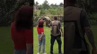 Honey 2 - The sequel. Already the Mrs is handling the Tawny Eagle more confidently