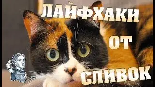 Очередные лайфхаки от SLIVKISHOW