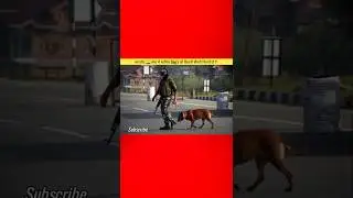 भारतीय 🇮🇳 सेना में शामिल Dog's को कितनी सैलरी मिलती है ?