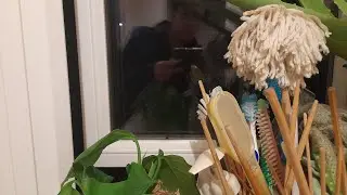 night rain ASMR live