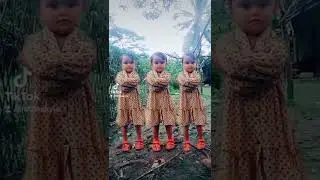 pengemar tiktok