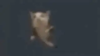 ИЛЬЯ ИЛЬЯ ИЛЬЯ ИЛЬЯ ИЛЬЯ ИЛЮША БУДУ БУДУ БУДУ БУДУ Я ТВОЕЙ ИГРУШКОЙ