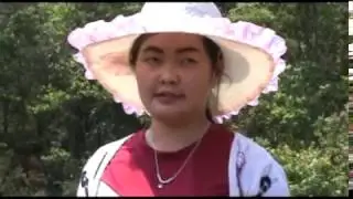 nkauj hmoob phonesavanh mu luaj quav nroj & txiav taws