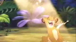 Simba And His Shiny Teeth