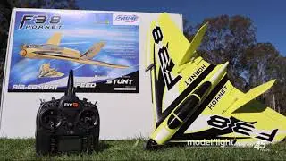 Prime RC F-38 Hornet RC Flying Wing Demo