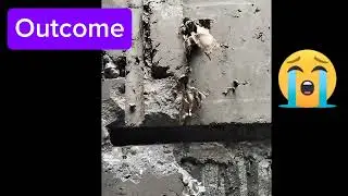 Honeycomb  should be repaired by Mason Expert