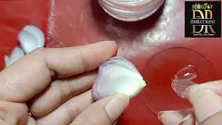 Preparation of Onion Epidermal slide( Practical)